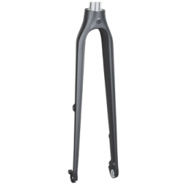 FX 3 700c Disc Rigid Fork